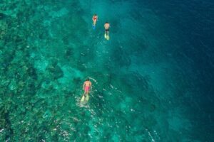 Snorkeling in Menjangan Island with Pickup and Lunch - The Half-Day Schedule: Boat Ride, Two Snorkel Stops, and Beach Lunch