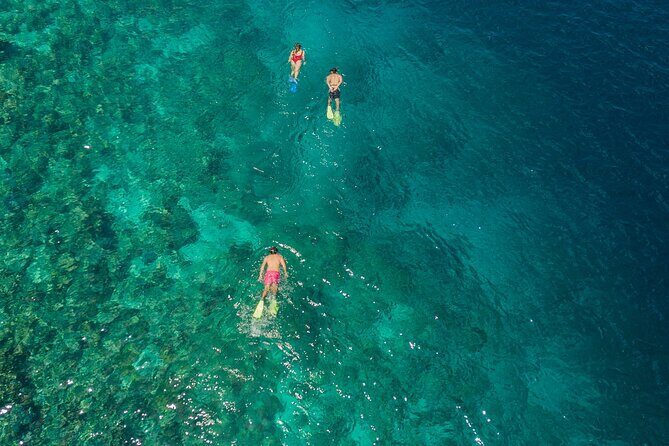 Snorkeling in Menjangan Island with Pickup and Lunch - The Half-Day Schedule: Boat Ride, Two Snorkel Stops, and Beach Lunch