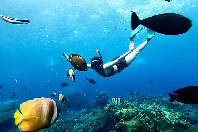 Snorkeling In Nusa Penida And Uluwatu Sunset Tours - Boat Timing and Water Time: What the Minutes Really Mean