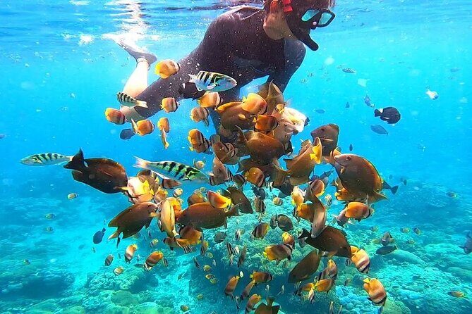 Snorkeling In Nusa Penida And Uluwatu Sunset Tours - Price and Value: Is $180.50 Per Person Worth It?