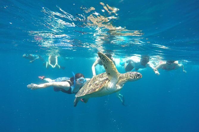 Snorkeling Tour In Gili Trawangan, Gili Meno And Gili Air Pick Up From Bali - Why Hopping the Gilis Feels Smarter Than Base-Hopping