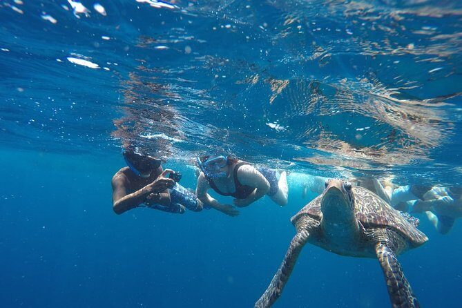 Snorkeling Tour In Gili Trawangan, Gili Meno And Gili Air Pick Up From Bali - Stop 3: Gili Air Fish Spot to Close the Loop