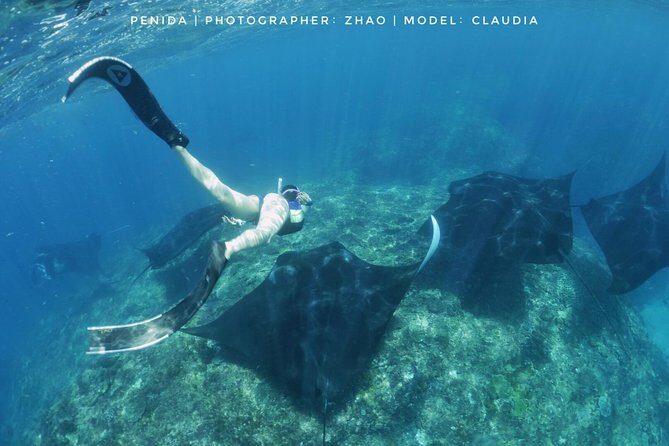 Snorkelling in Nusa Penida - Manta Point - Stop 1: Manta Point Snorkeling Off Nusa Penida