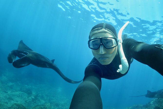 Snorkelling in Nusa Penida - Manta Point - Getting From Sanur to Nusa Penida: Time, Transfers, and Group Size
