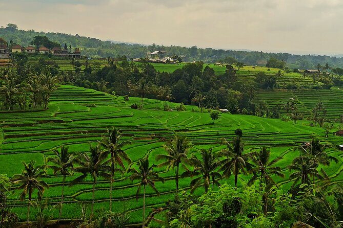 Tanah Lot Tour: Discover Bali’s Iconic Temple and Stunning Views - Lake Beratan (Ulun Danu Beratan): Mist, Water, and a Floating-Feeling Temple