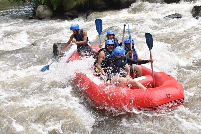 The Best Ayung River Rafting Adventure in Ubud - Who should book this Ayung River rafting adventure