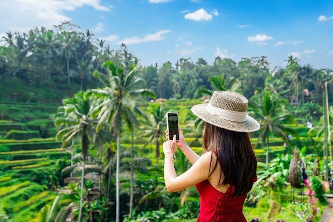 Ubud Adventure All Inclusive Private Day Tour - Sacred Monkey Forest Sanctuary: wildlife + an ancient temple vibe