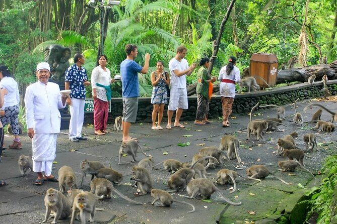 Ubud Day Tour: Sacred Monkey Forest, Tegenungan Waterfall, Rice Terrace - Tegalalang Rice Terrace: iconic views and the walking debate