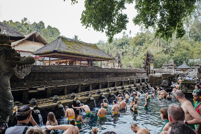 Ubud Small Group Tour: Monkey Forest, Tegalalang Rice Terraces and more - Getting From Kuta to Ubud Without Losing Half Your Day