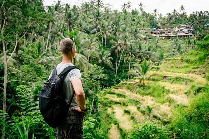 Ubud Small Group Tour: Monkey Forest, Tegalalang Rice Terraces and more - Price and Logistics: What $18 Really Buys You