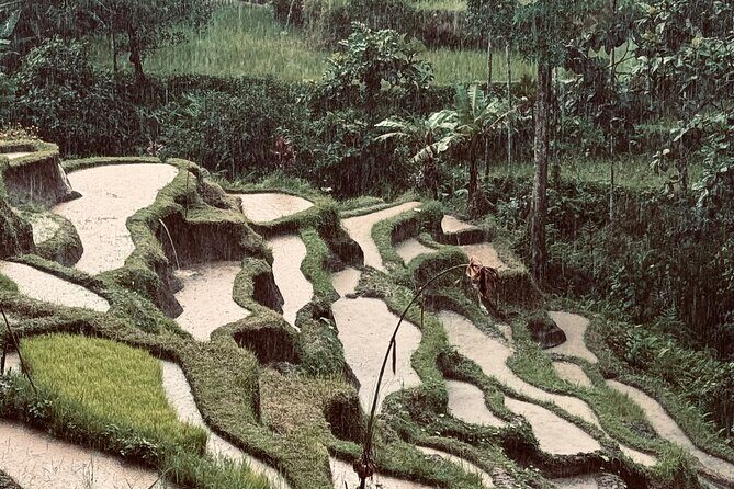 Ubud Top Tours to Discover Bali’s Cultural and Natural Wonders - Key highlights worth planning around