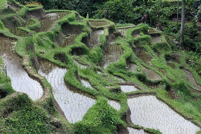 Ubud Top Tours to Discover Bali’s Cultural and Natural Wonders - Comfort checklist for an 8 to 10 hour private day