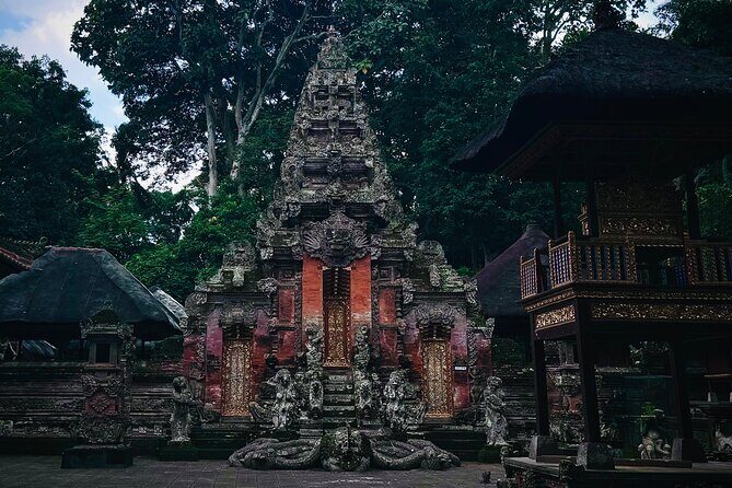 Ubud Top Tours to Discover Bali’s Cultural and Natural Wonders - Who this tour is best for