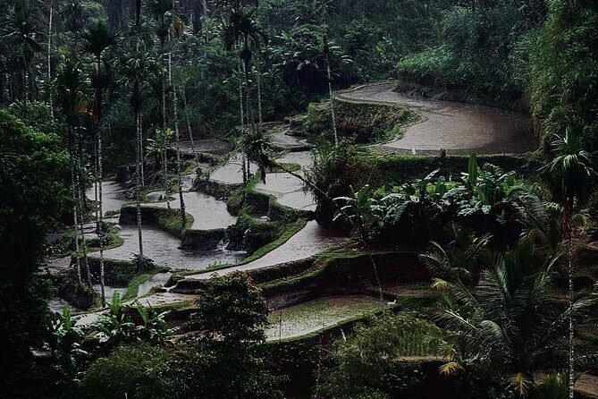 Ubud Top Tours to Discover Bali’s Cultural and Natural Wonders - Should you book this Ubud private tour?