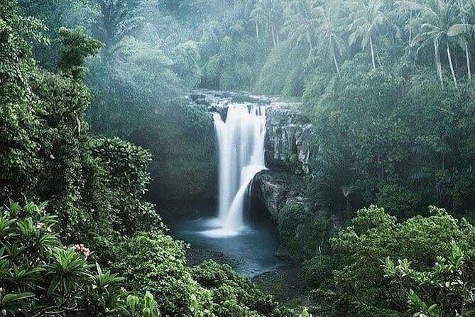 Ubud Top Tours to Discover Bali’s Cultural and Natural Wonders - FAQ