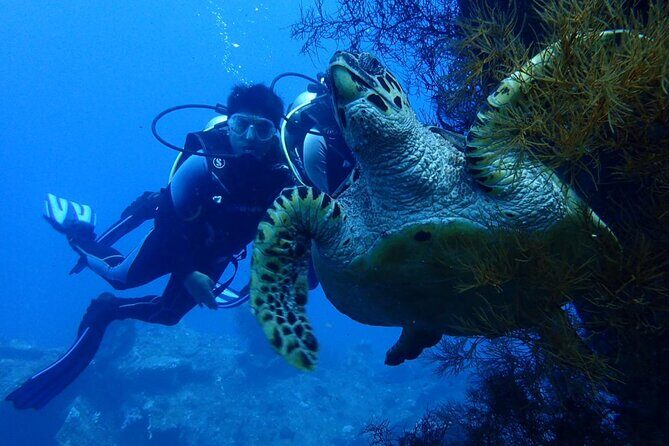 USS Liberty Shipwreck Scuba Diving at Tulamben Bali - USS Liberty 101: Why This Wreck Works for Most Scuba Plans
