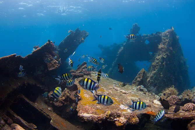 USS Liberty Shipwreck Scuba Diving at Tulamben Bali - The Day’s Flow: Two Underwater Sessions, Lunch on the Beach, and Showers