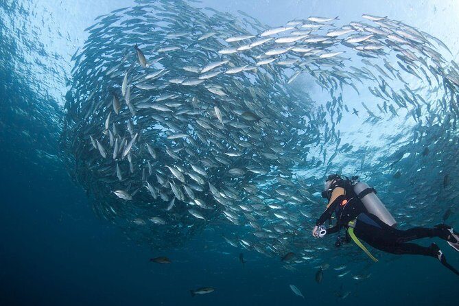 USS Liberty Shipwreck Scuba Diving at Tulamben Bali - Instructors and Safety: What the Best Feedback Shared