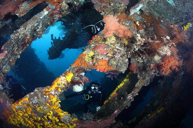 USS Liberty Shipwreck Scuba Diving at Tulamben Bali - Food, Showers, and the Minor Stuff That Shows Up