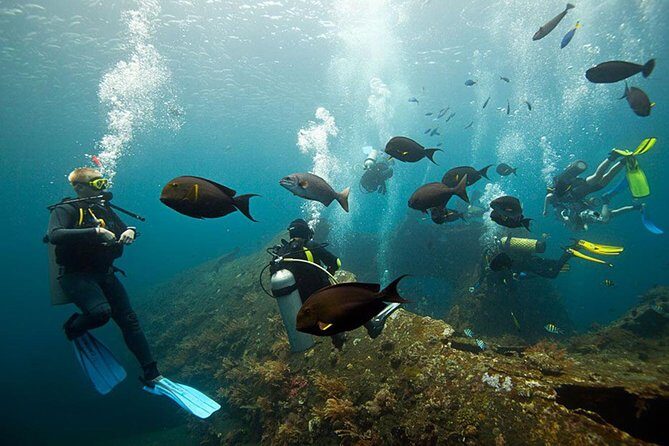 USS Liberty Shipwreck Scuba Diving at Tulamben Bali - Getting to Tulamben: Pickup Timing and the Realistic 10-Hour Day