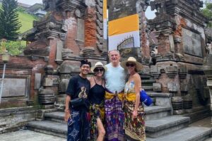 Wonderful of Ubud Private Guided Tour - What You Get for the Price: Admission Fees, Wi‑Fi, and AC Comfort
